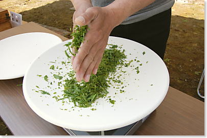 ���F�ł���������̎��H