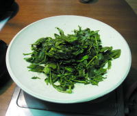 ���t��M����